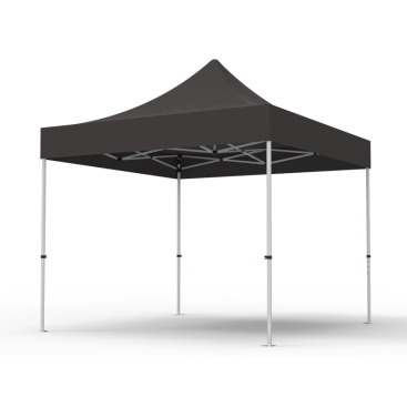 10 x 10ft  Pop Up Canopy with BLACK Roof