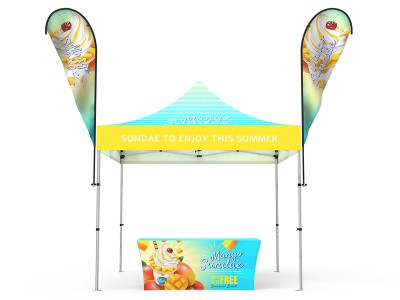 Pop-up Canopy 10x10ft Custom Package 13 Pop-up Canopy 10x10ft Custom Package 13